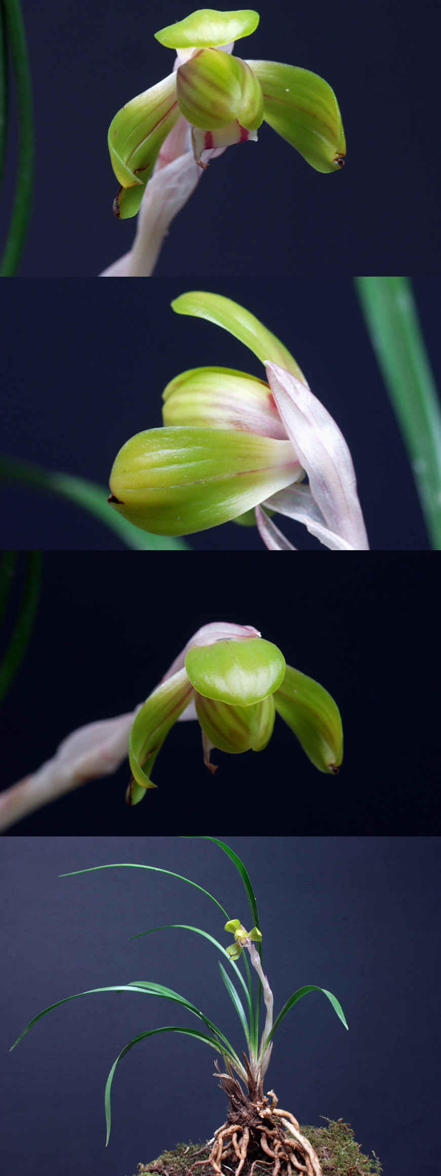 ������ ū������ �� �� �ֽ��ϴ�.