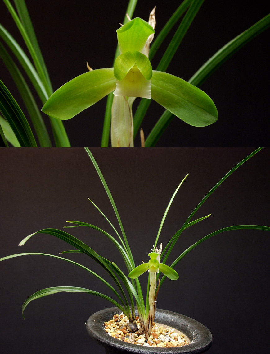 ������ ū������ �� �� �ֽ��ϴ�.