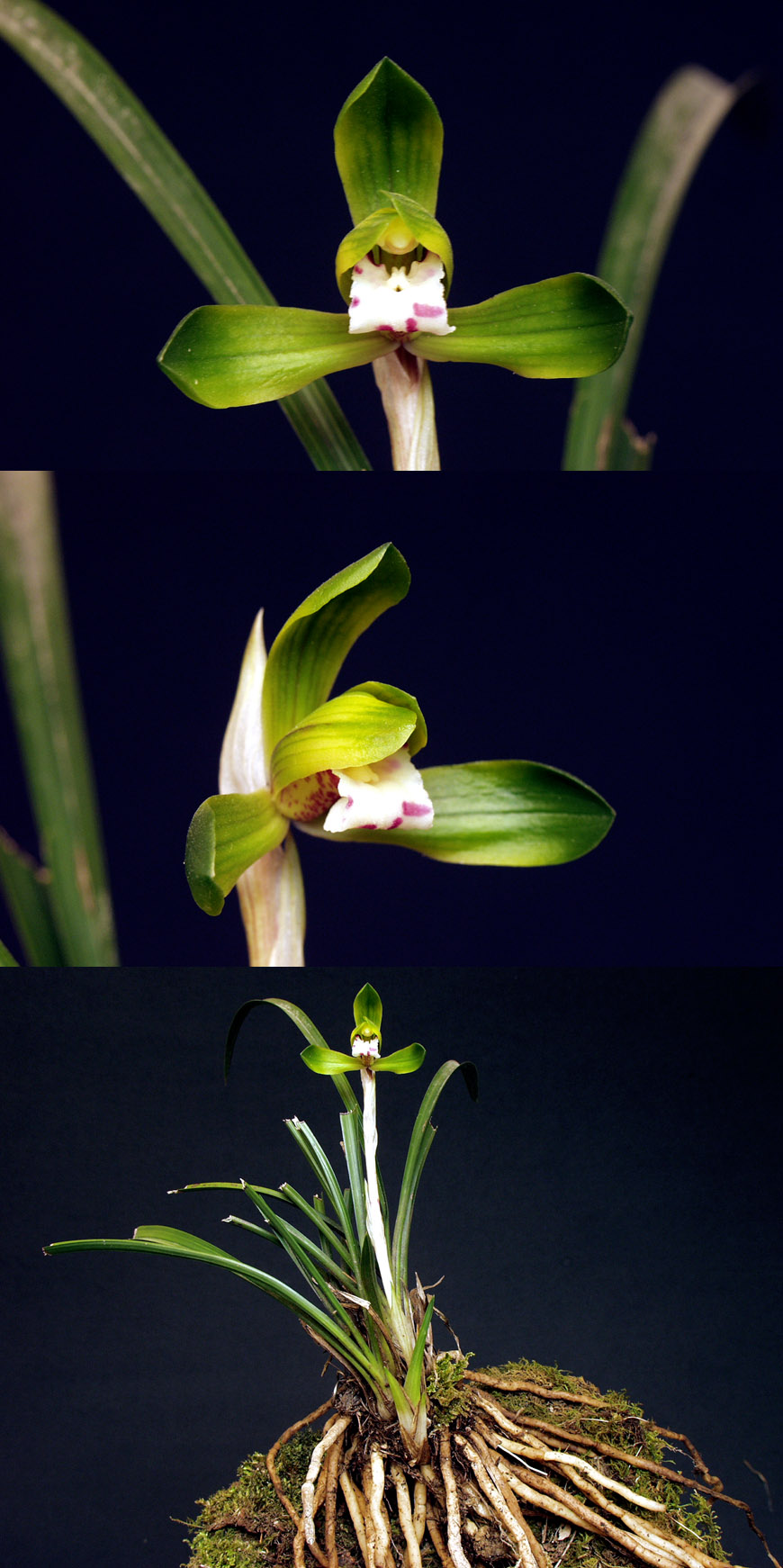 ������ ū������ �� �� �ֽ��ϴ�.