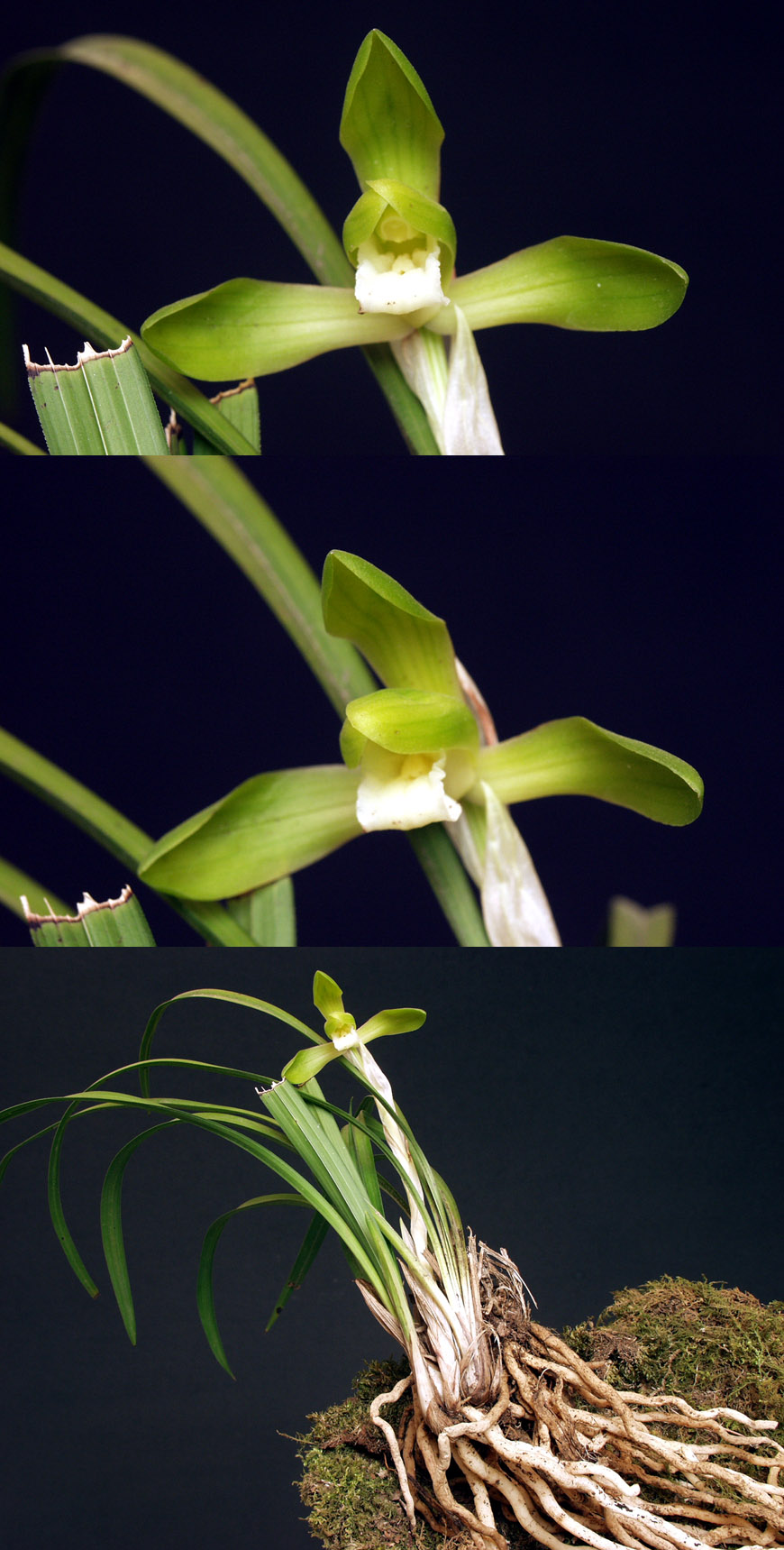 ������ ū������ �� �� �ֽ��ϴ�.