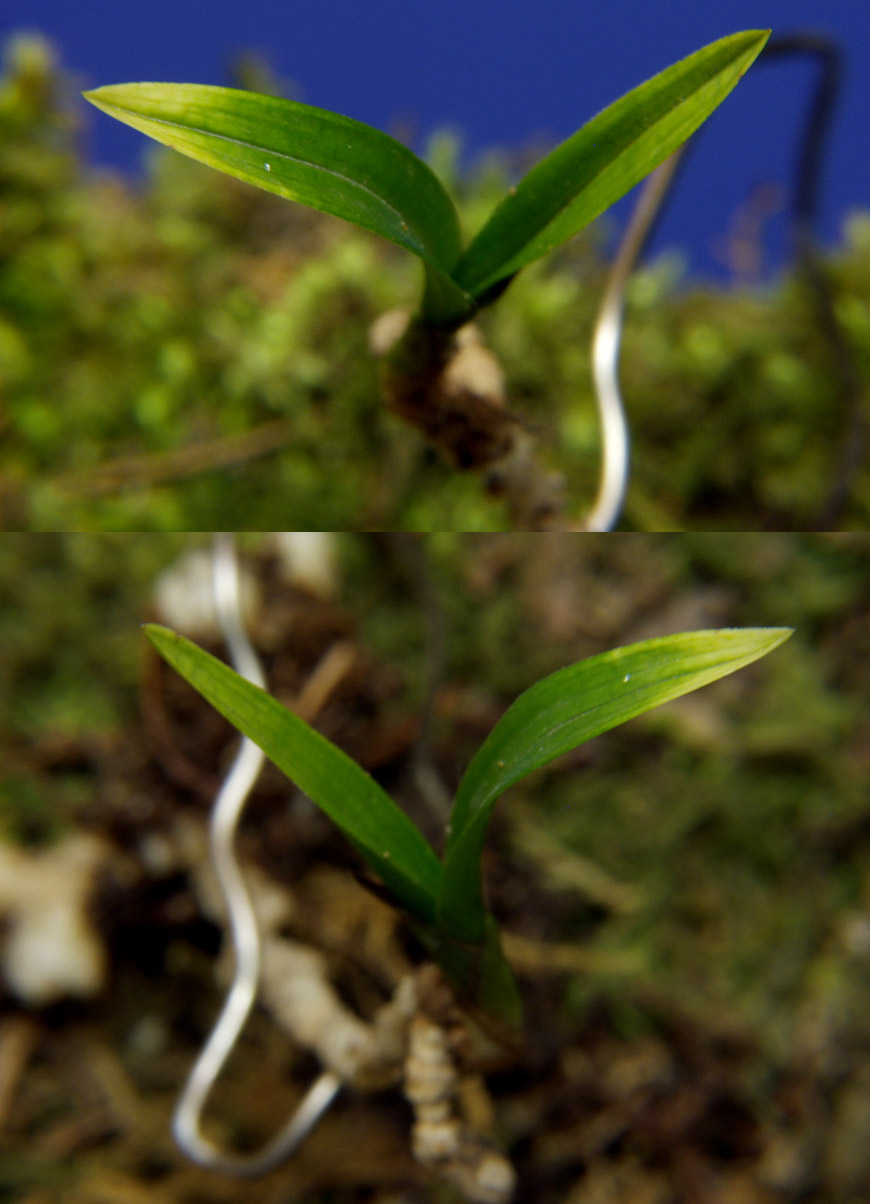 ������ ū������ �� �� �ֽ��ϴ�.