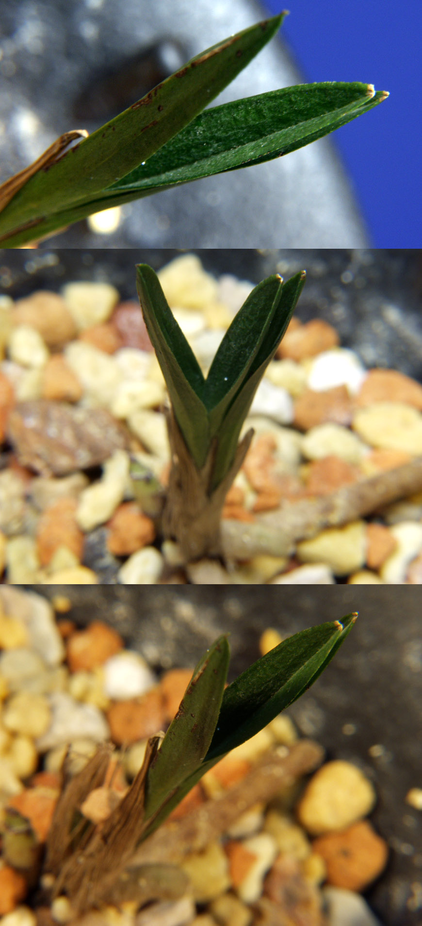 ������ ū������ �� �� �ֽ��ϴ�.