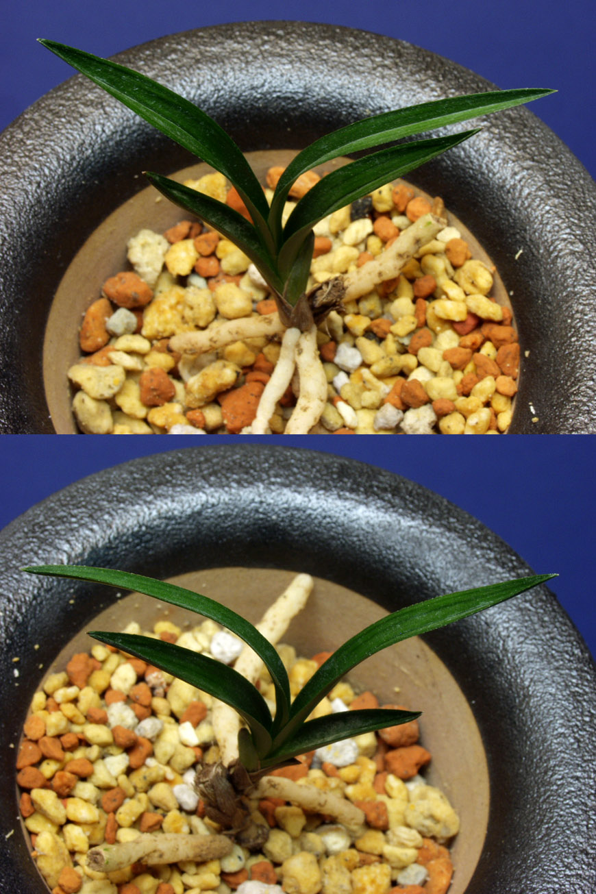 ������ ū������ �� �� �ֽ��ϴ�.