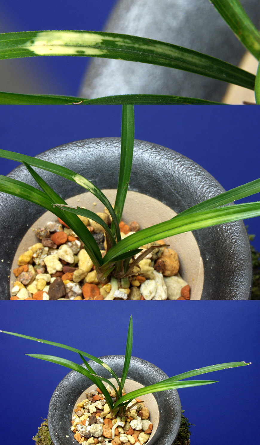 ������ ū������ �� �� �ֽ��ϴ�.