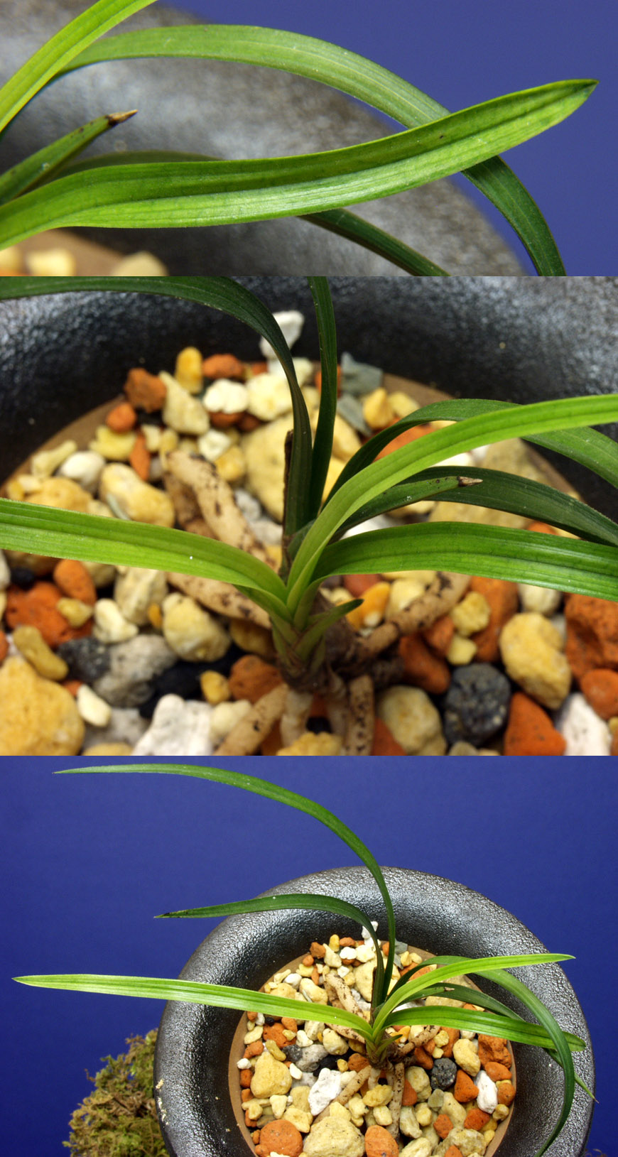 ������ ū������ �� �� �ֽ��ϴ�.