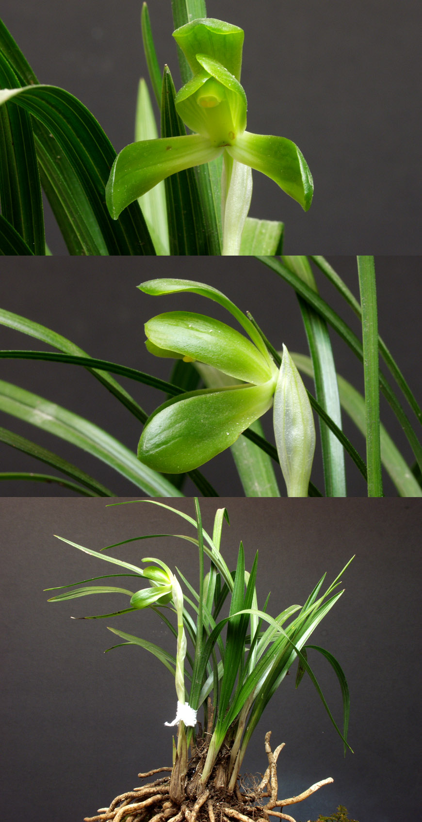 ������ ū������ �� �� �ֽ��ϴ�.