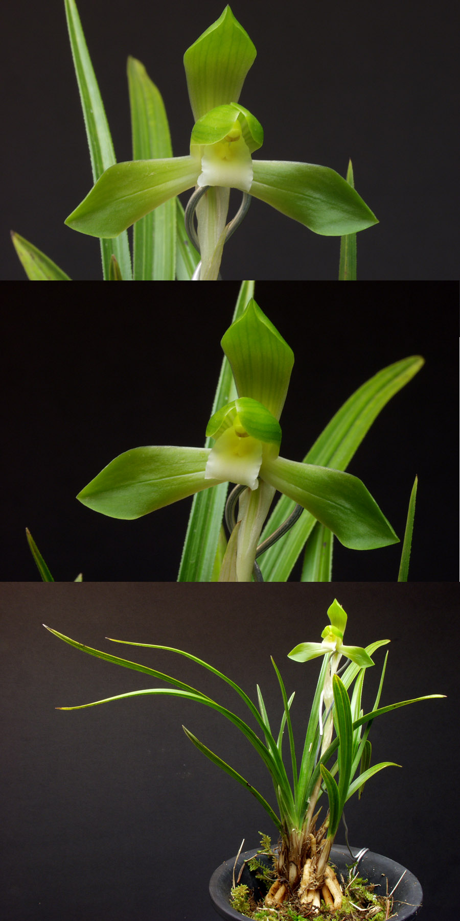 ������ ū������ �� �� �ֽ��ϴ�.