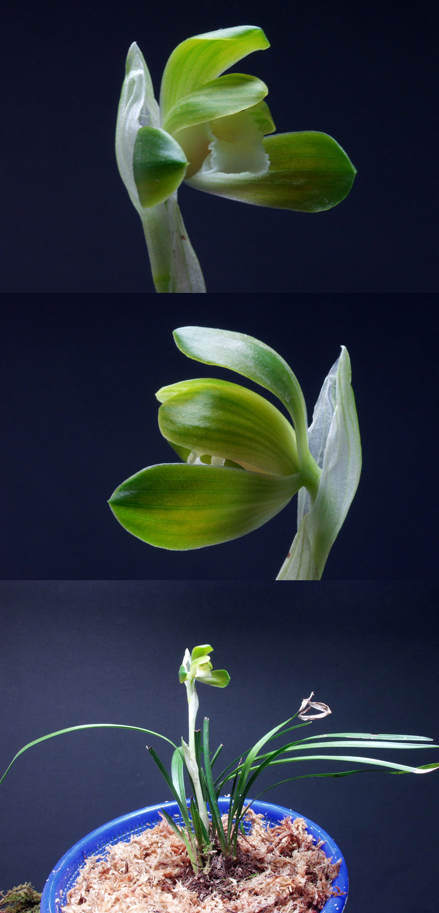 ������ ū������ �� �� �ֽ��ϴ�.