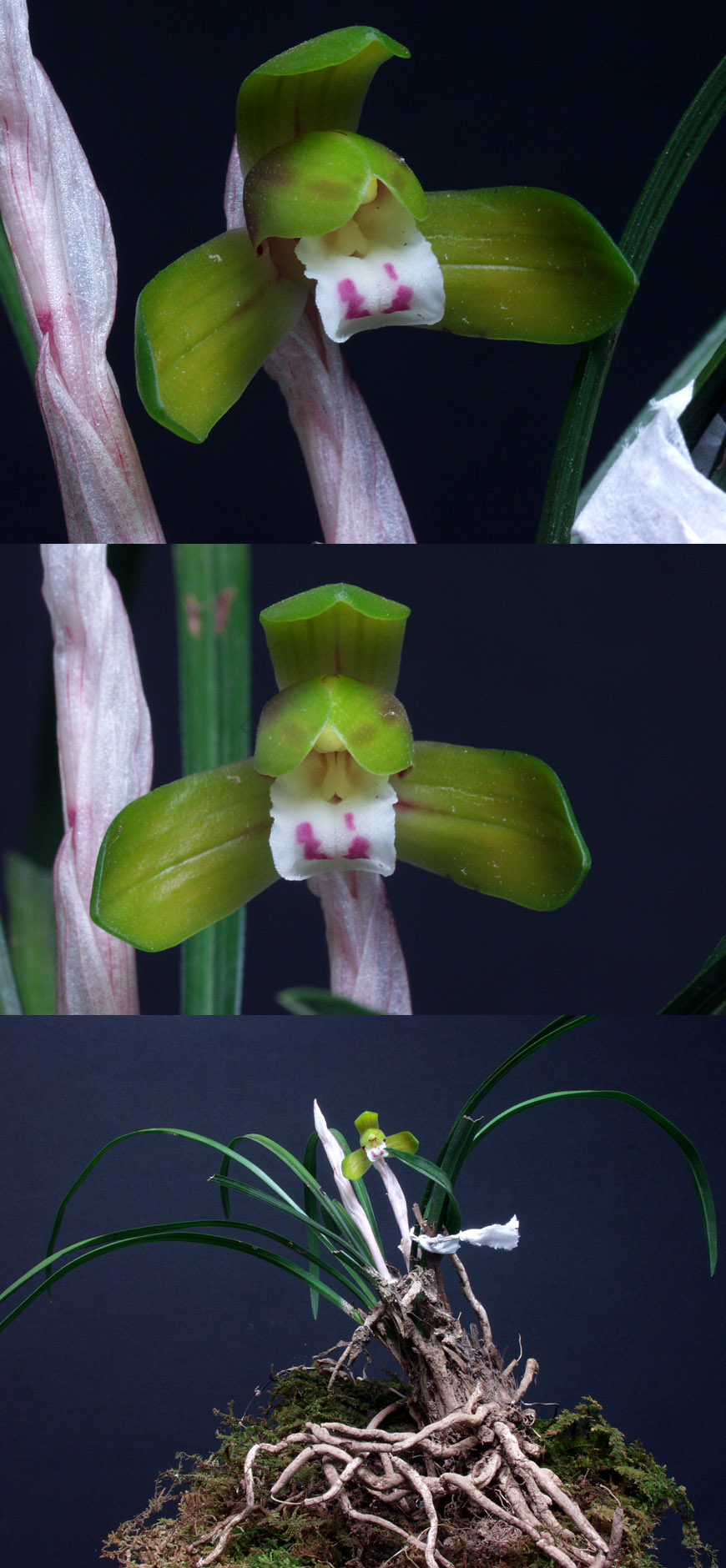 ������ ū������ �� �� �ֽ��ϴ�.