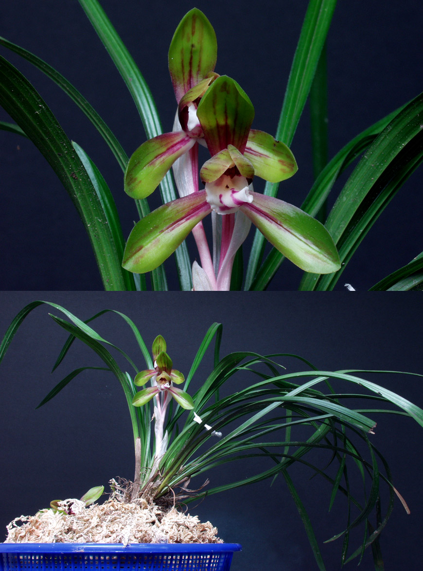 ������ ū������ �� �� �ֽ��ϴ�.