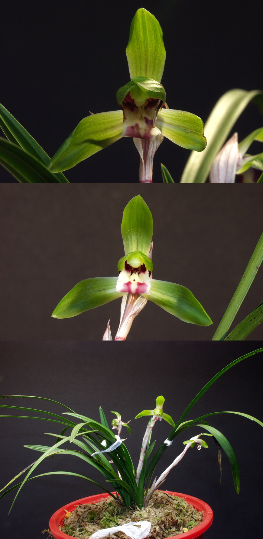 ������ ū������ �� �� �ֽ��ϴ�.