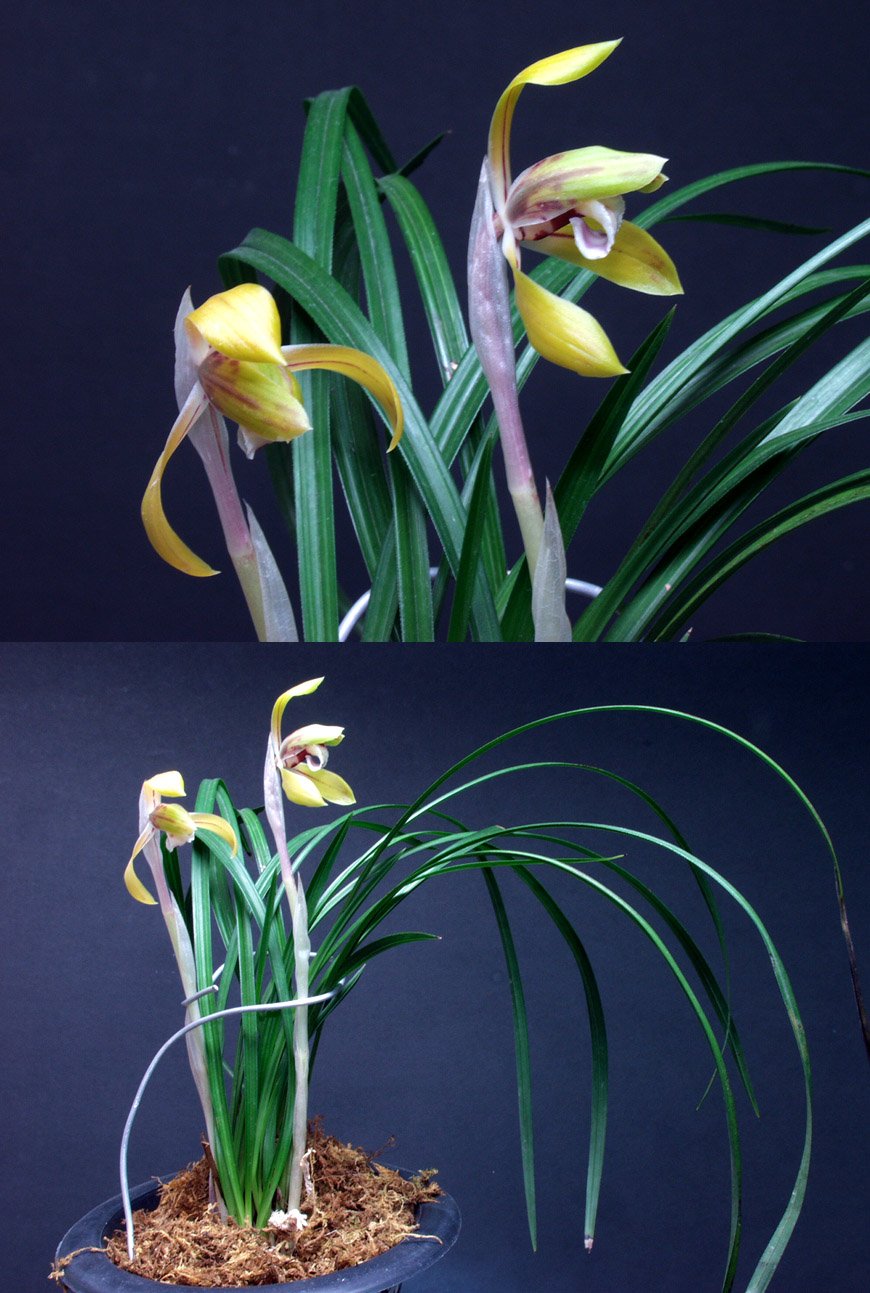 ������ ū������ �� �� �ֽ��ϴ�.