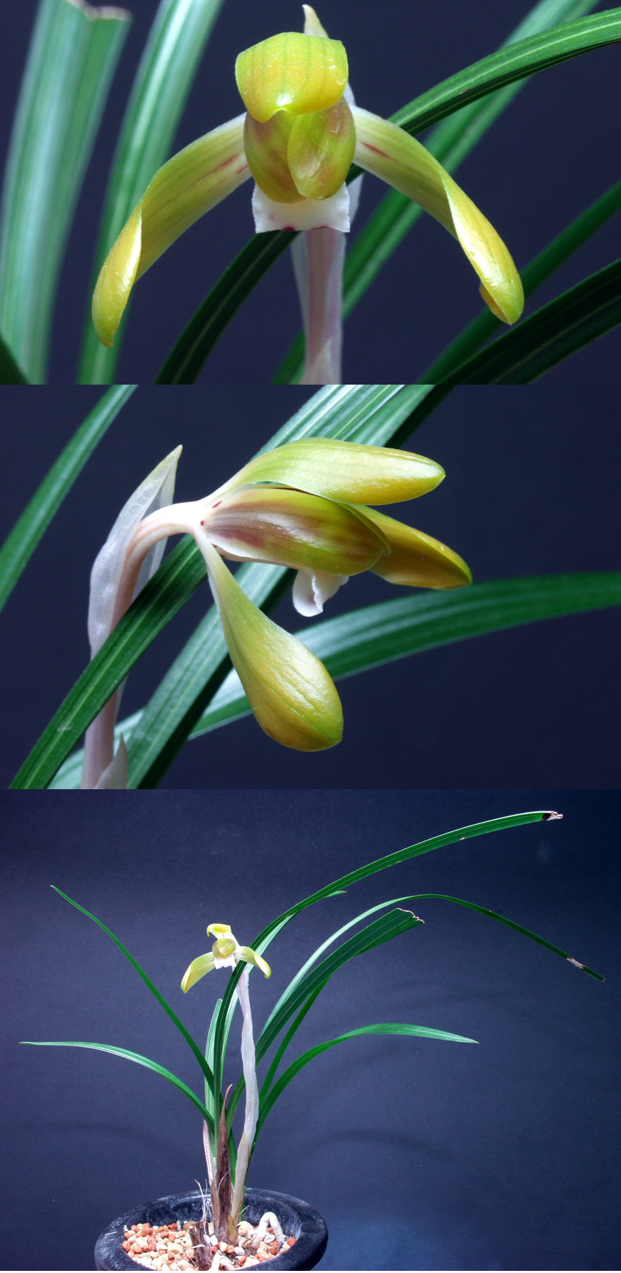 ������ ū������ �� �� �ֽ��ϴ�.