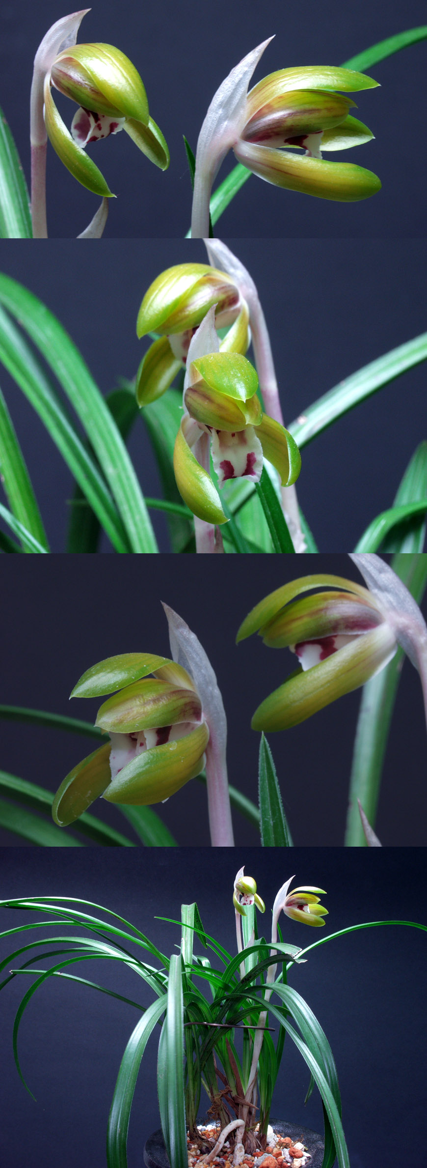 ������ ū������ �� �� �ֽ��ϴ�.