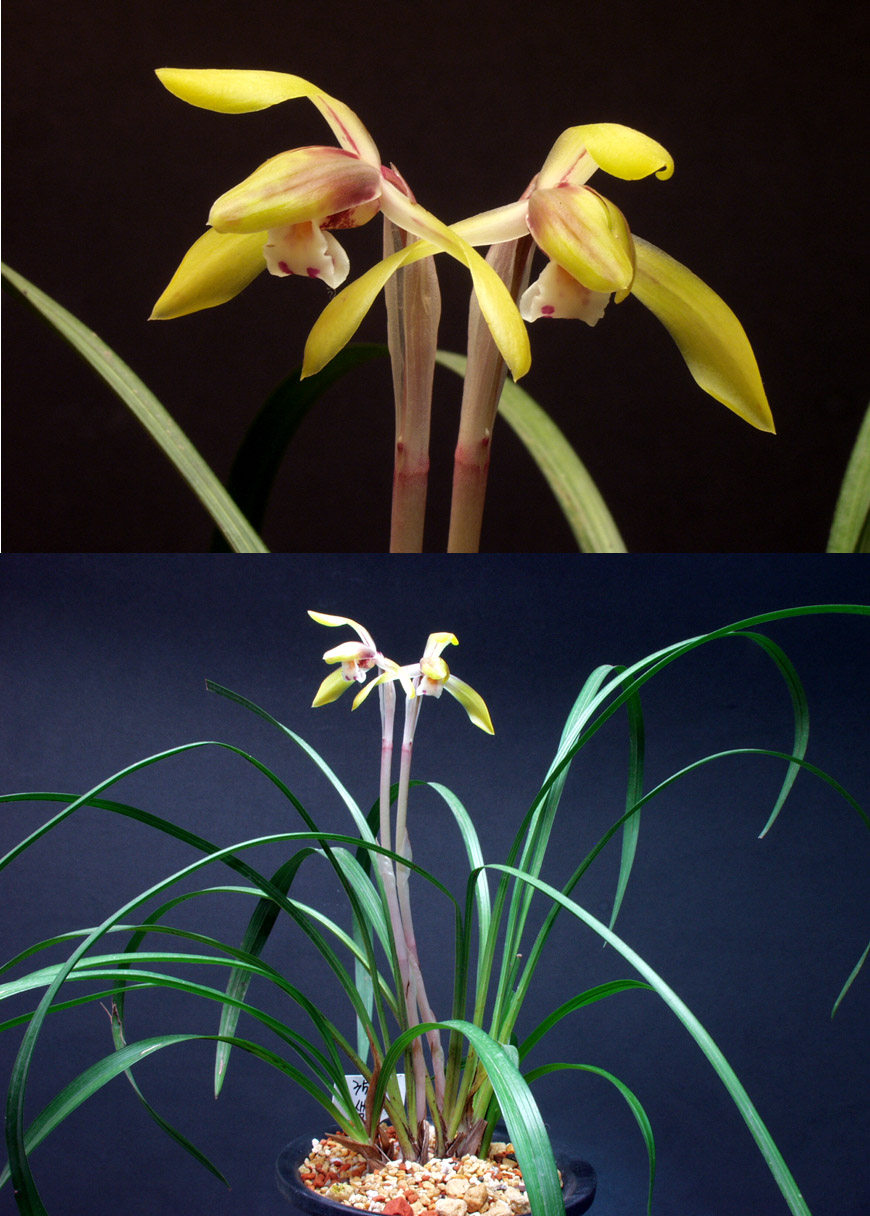 ������ ū������ �� �� �ֽ��ϴ�.