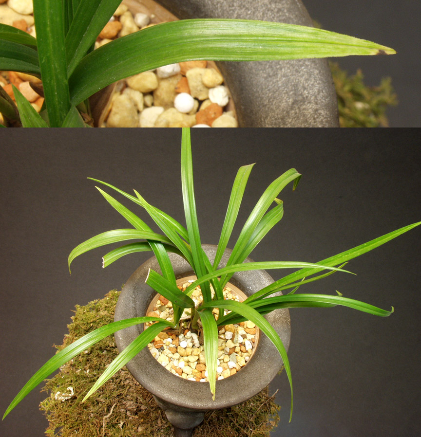 ������ ū������ �� �� �ֽ��ϴ�.