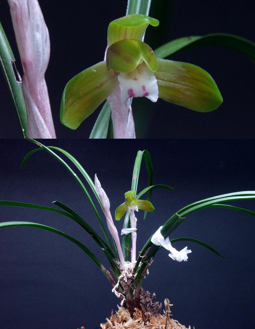 ������ ū������ �� �� �ֽ��ϴ�.