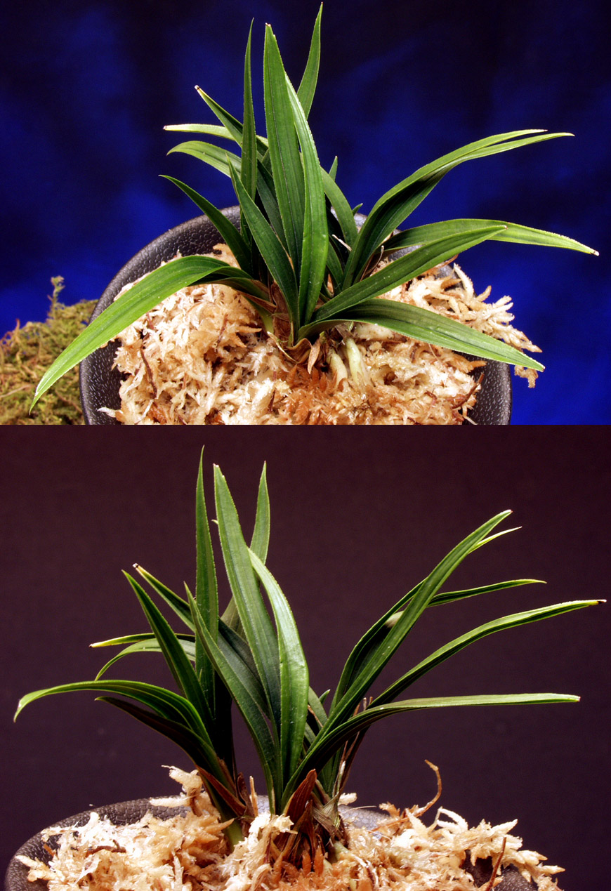 ������ ū������ �� �� �ֽ��ϴ�.