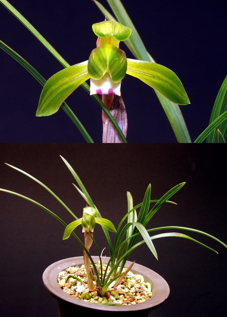 ������ ū������ �� �� �ֽ��ϴ�.