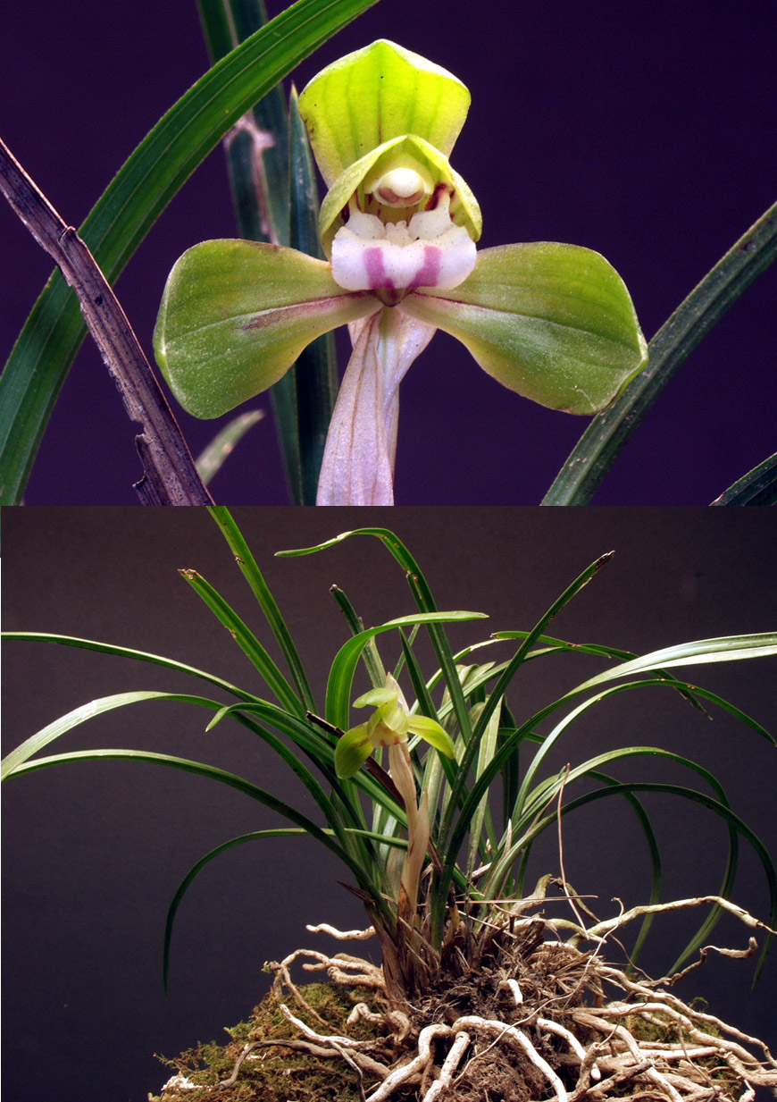 ������ ū������ �� �� �ֽ��ϴ�.