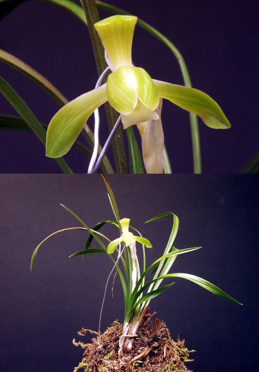 ������ ū������ �� �� �ֽ��ϴ�.