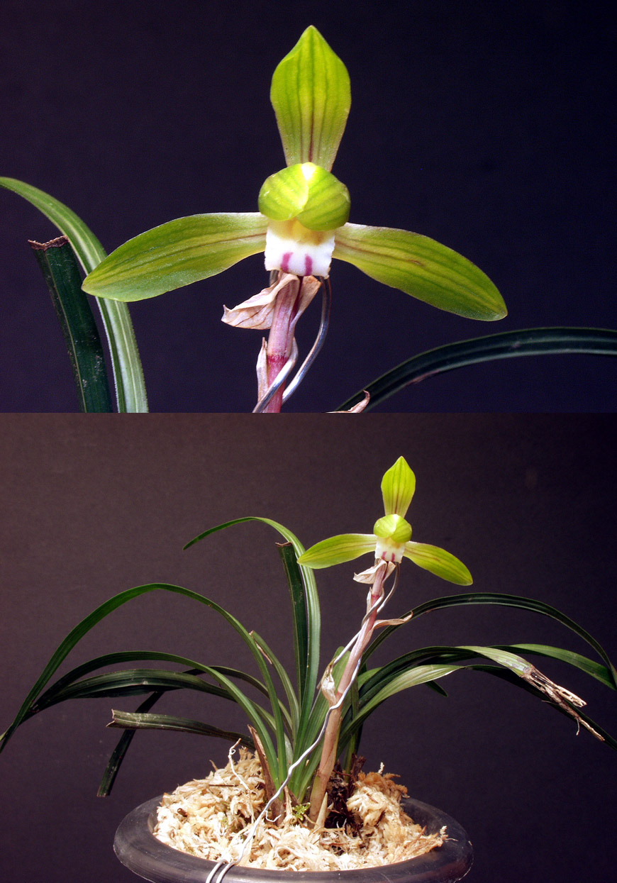 ������ ū������ �� �� �ֽ��ϴ�.