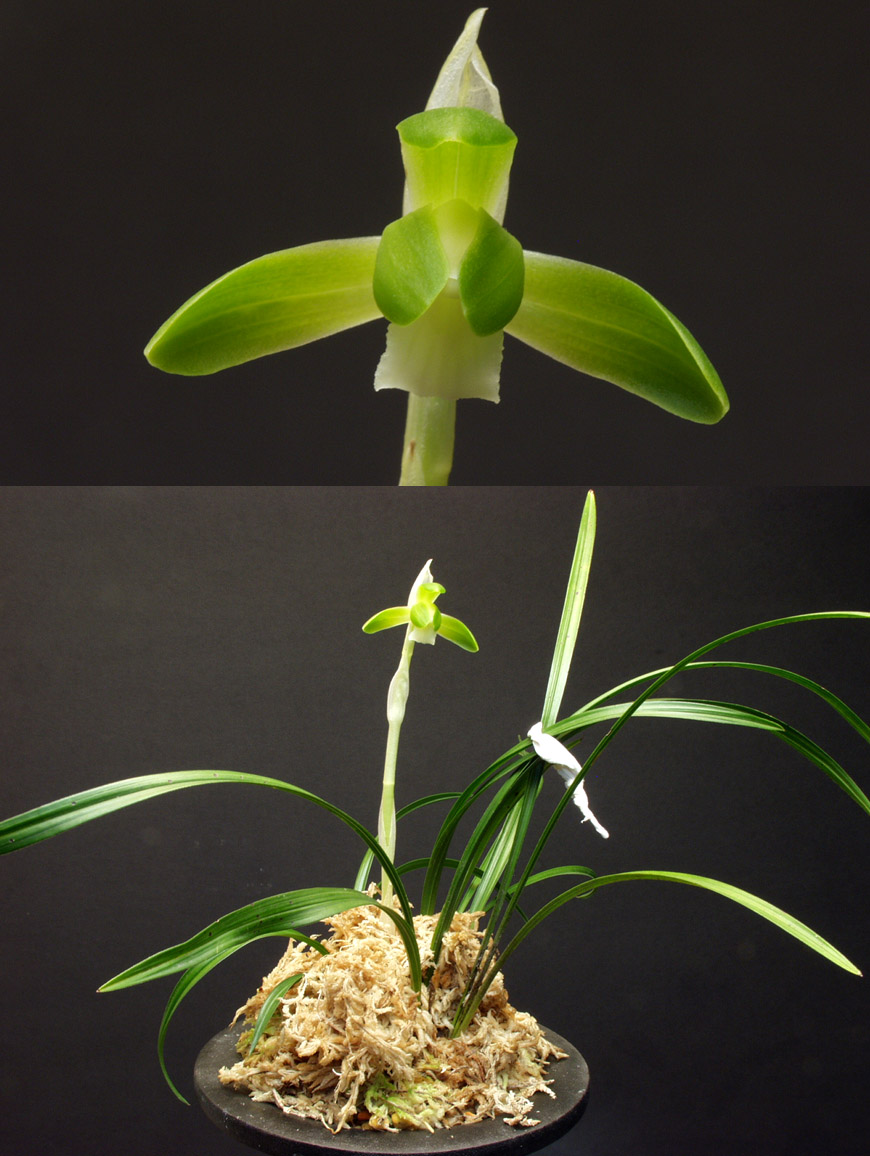 ������ ū������ �� �� �ֽ��ϴ�.