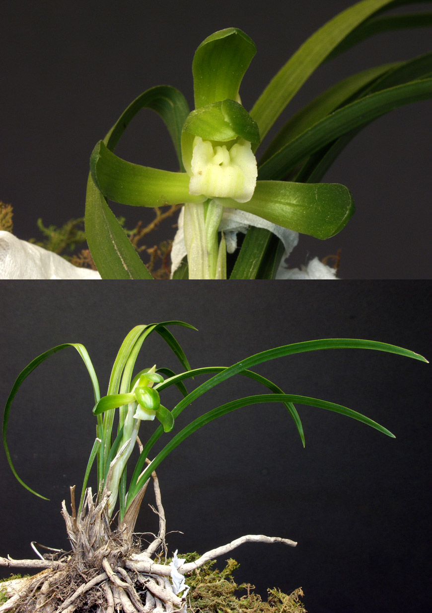 ������ ū������ �� �� �ֽ��ϴ�.