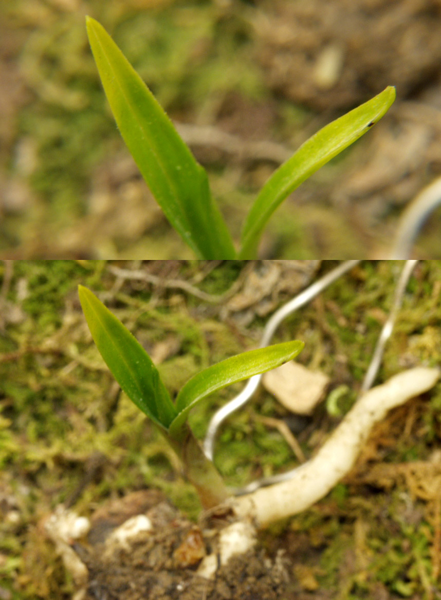 ������ ū������ �� �� �ֽ��ϴ�.