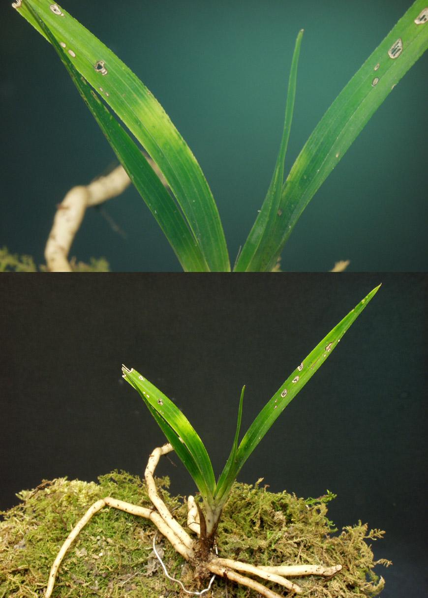 ������ ū������ �� �� �ֽ��ϴ�.