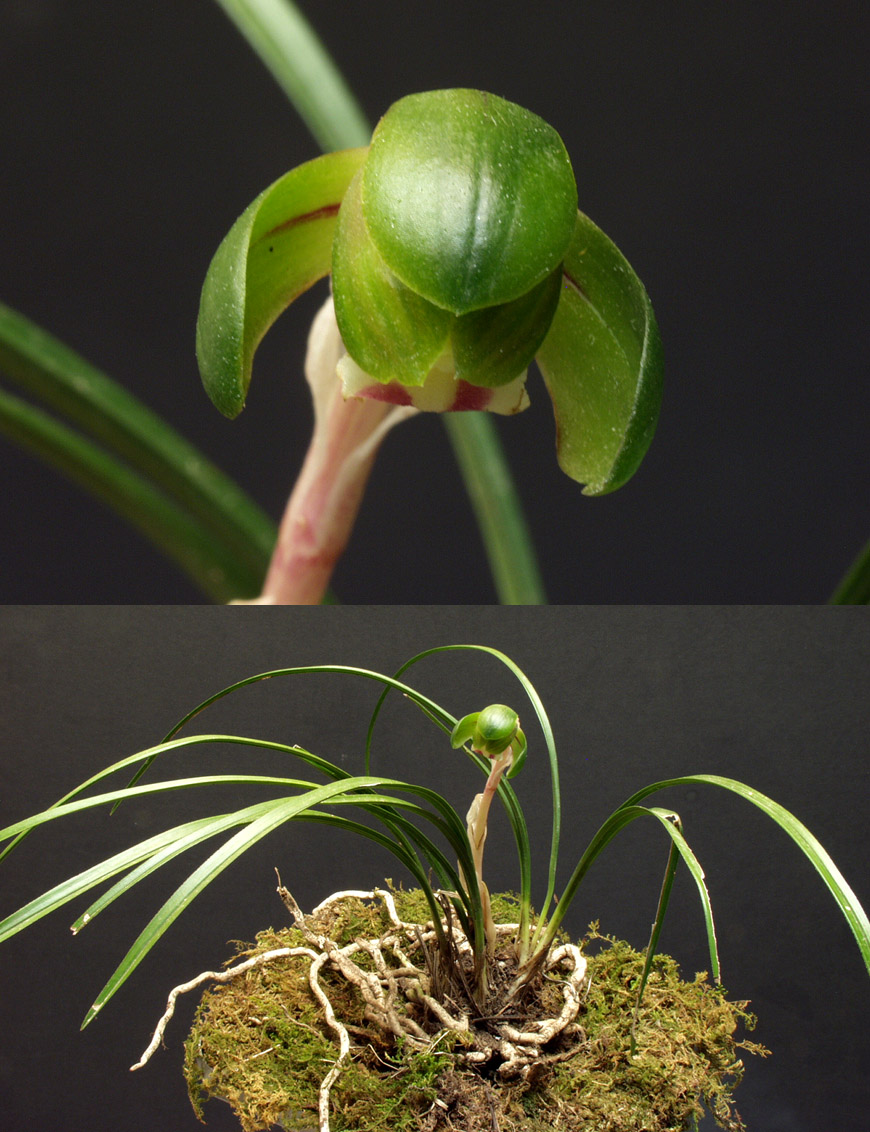 ������ ū������ �� �� �ֽ��ϴ�.