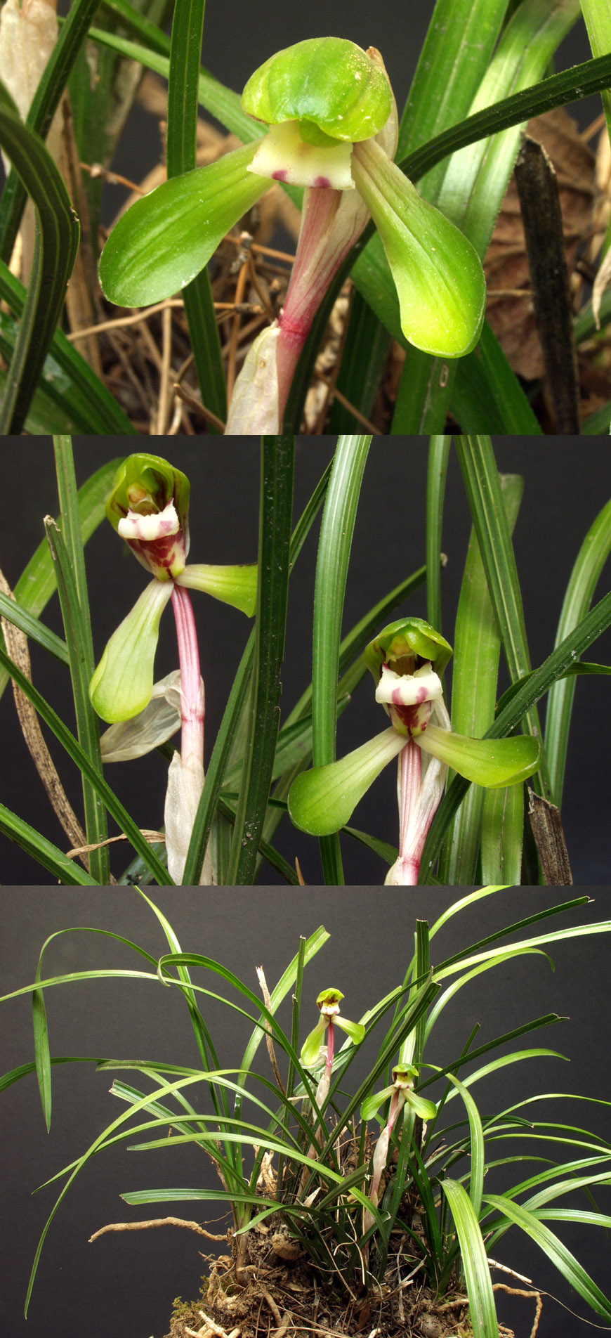 ������ ū������ �� �� �ֽ��ϴ�.