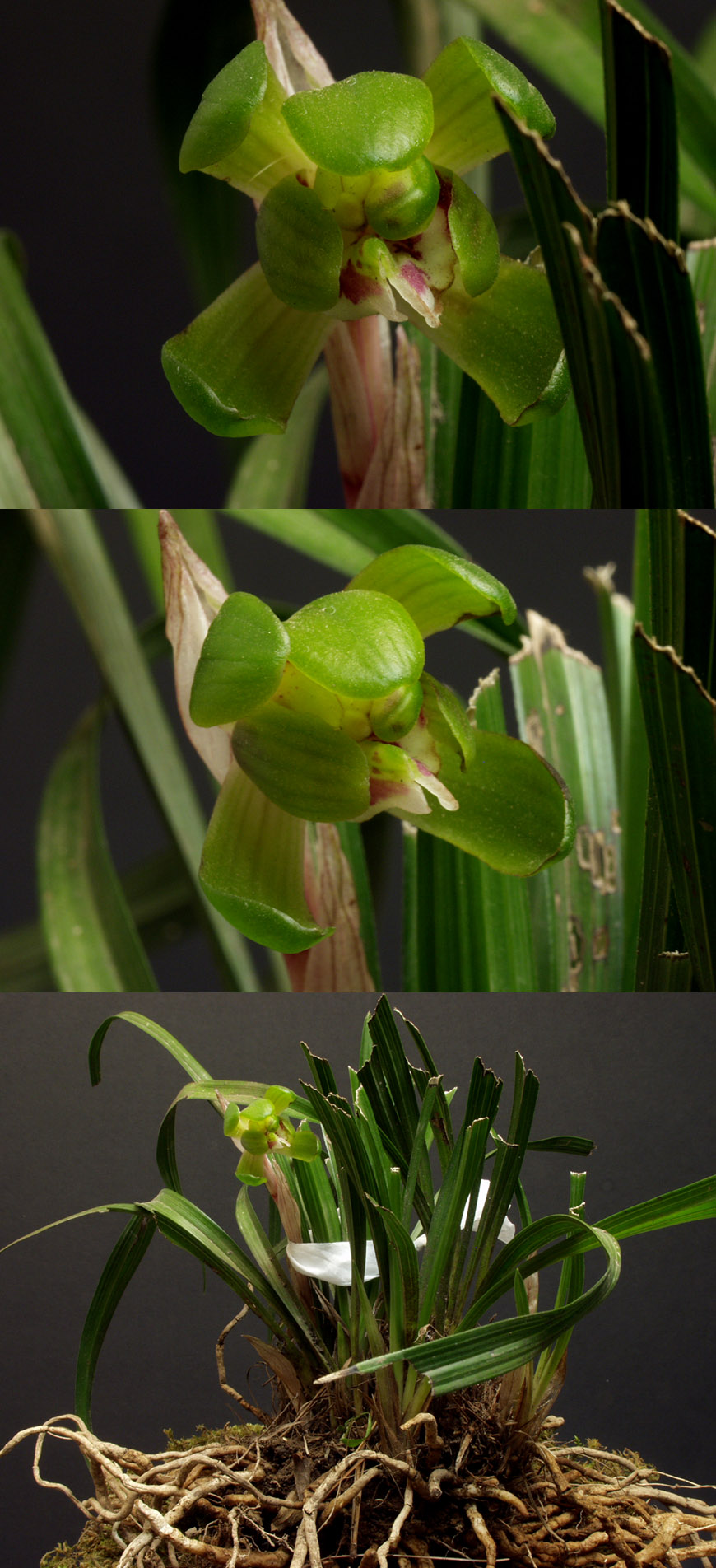 ������ ū������ �� �� �ֽ��ϴ�.