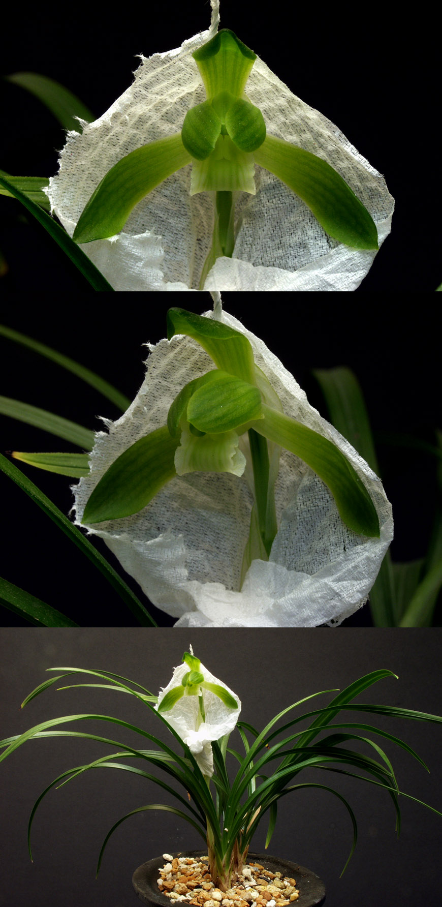 ������ ū������ �� �� �ֽ��ϴ�.