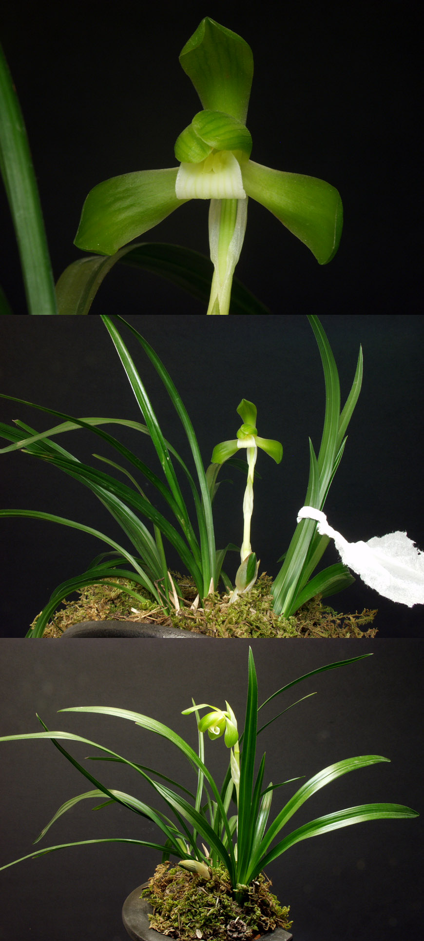 ������ ū������ �� �� �ֽ��ϴ�.