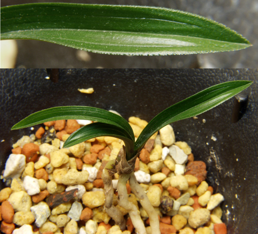 ������ ū������ �� �� �ֽ��ϴ�.