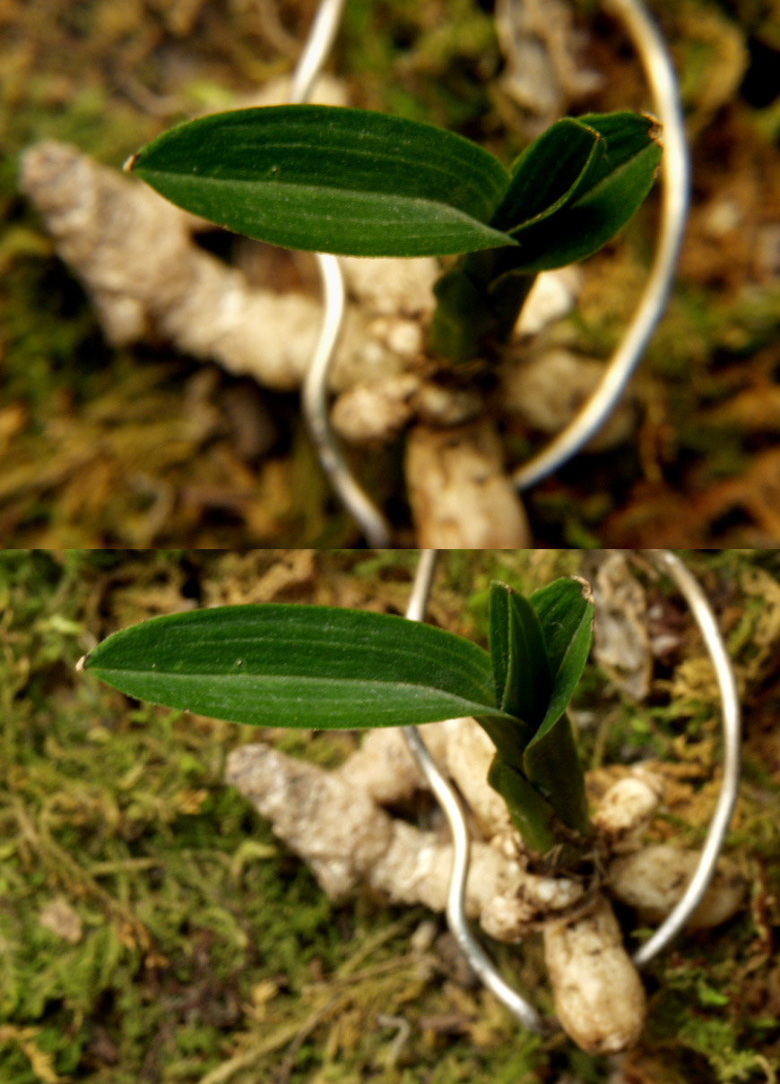 ������ ū������ �� �� �ֽ��ϴ�.