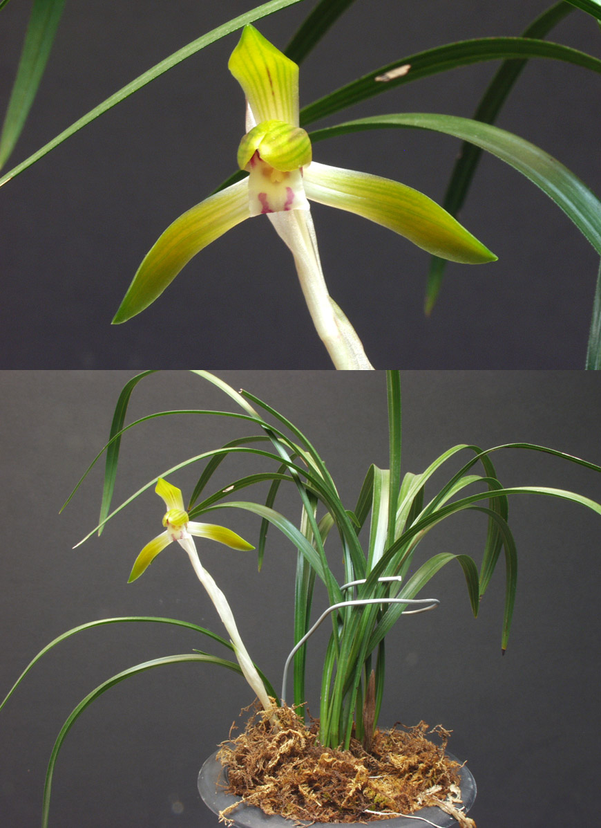 ������ ū������ �� �� �ֽ��ϴ�.