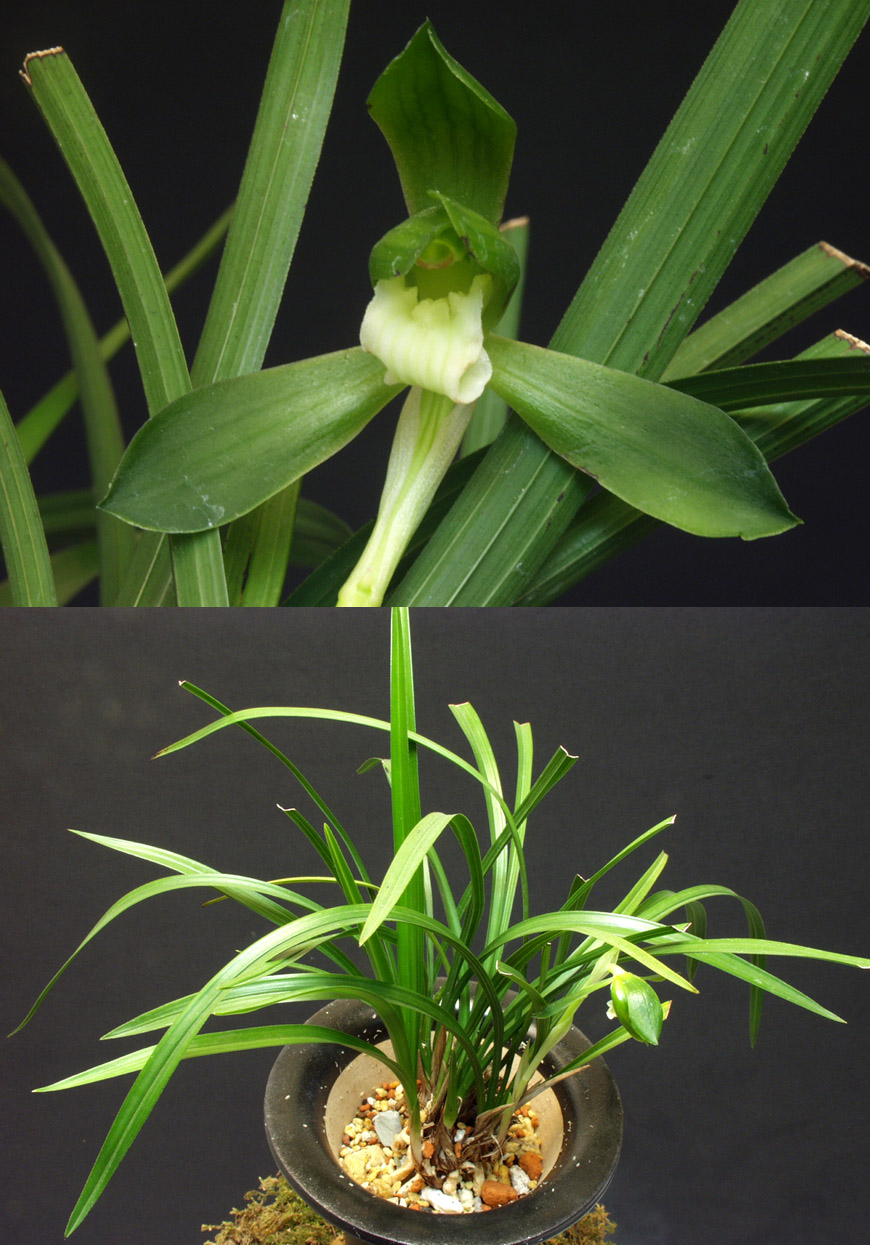 ������ ū������ �� �� �ֽ��ϴ�.