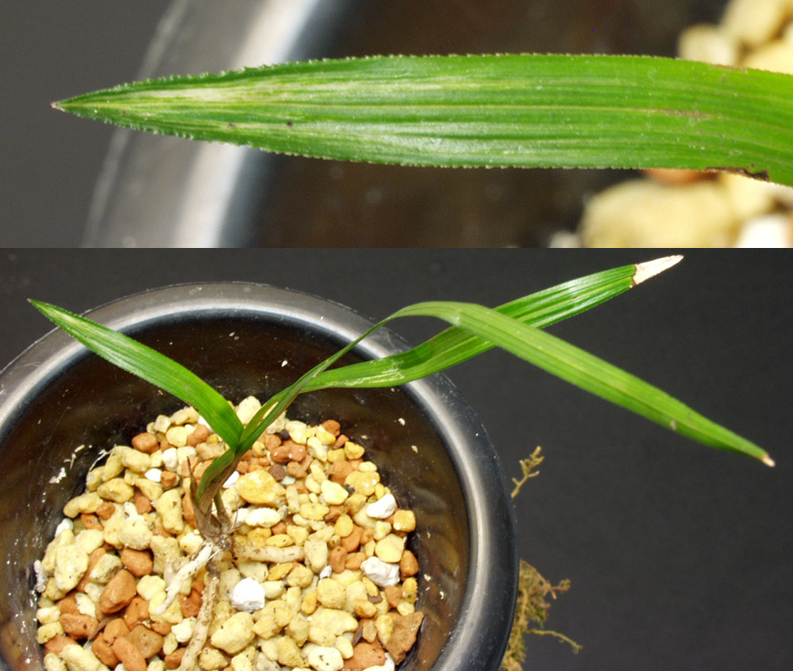 ������ ū������ �� �� �ֽ��ϴ�.