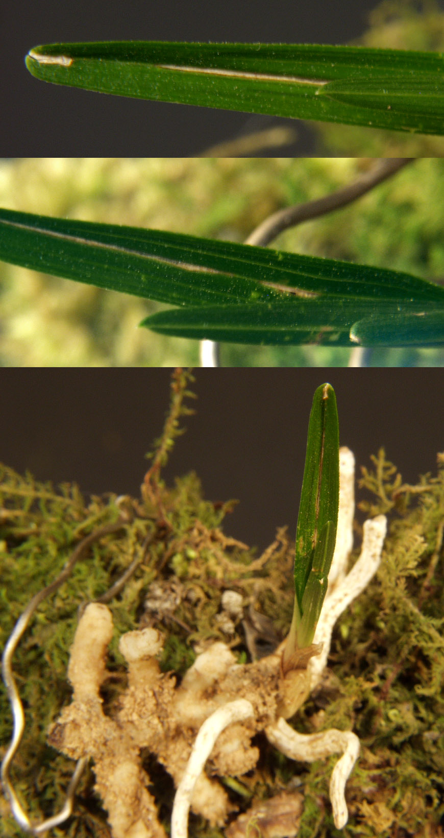 ������ ū������ �� �� �ֽ��ϴ�.