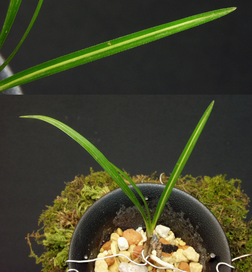 ������ ū������ �� �� �ֽ��ϴ�.