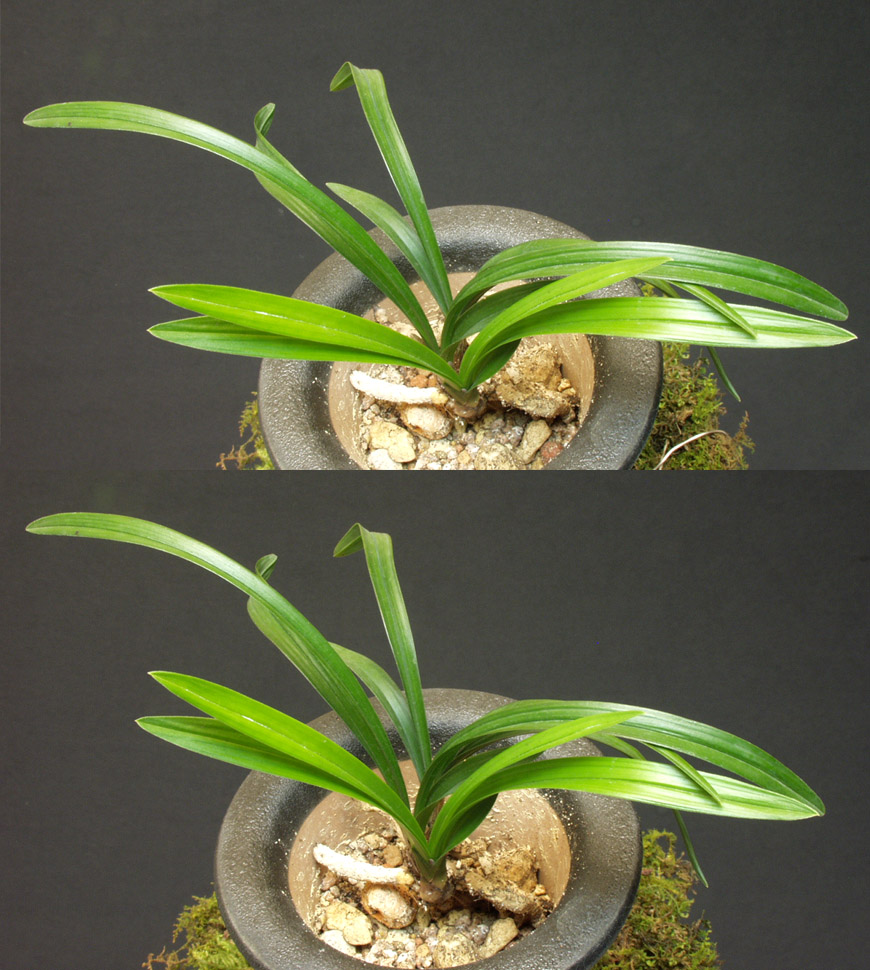 ������ ū������ �� �� �ֽ��ϴ�.