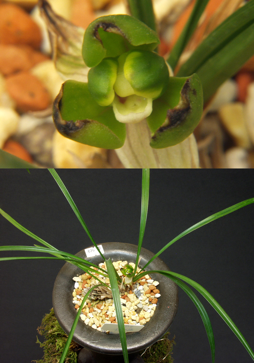 ������ ū������ �� �� �ֽ��ϴ�.