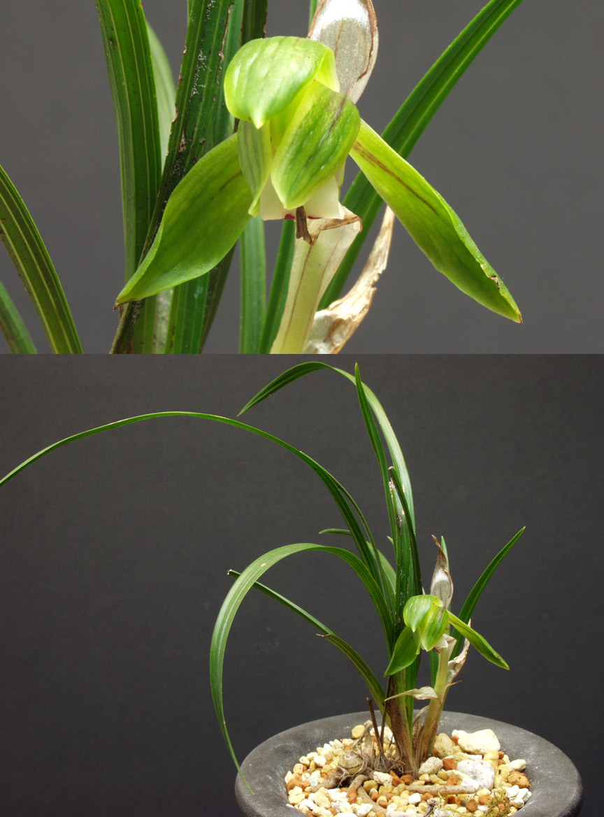 ������ ū������ �� �� �ֽ��ϴ�.