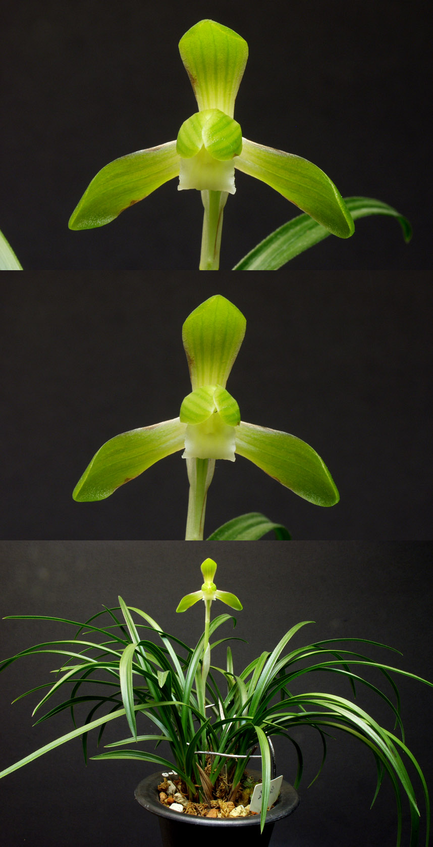 ������ ū������ �� �� �ֽ��ϴ�.