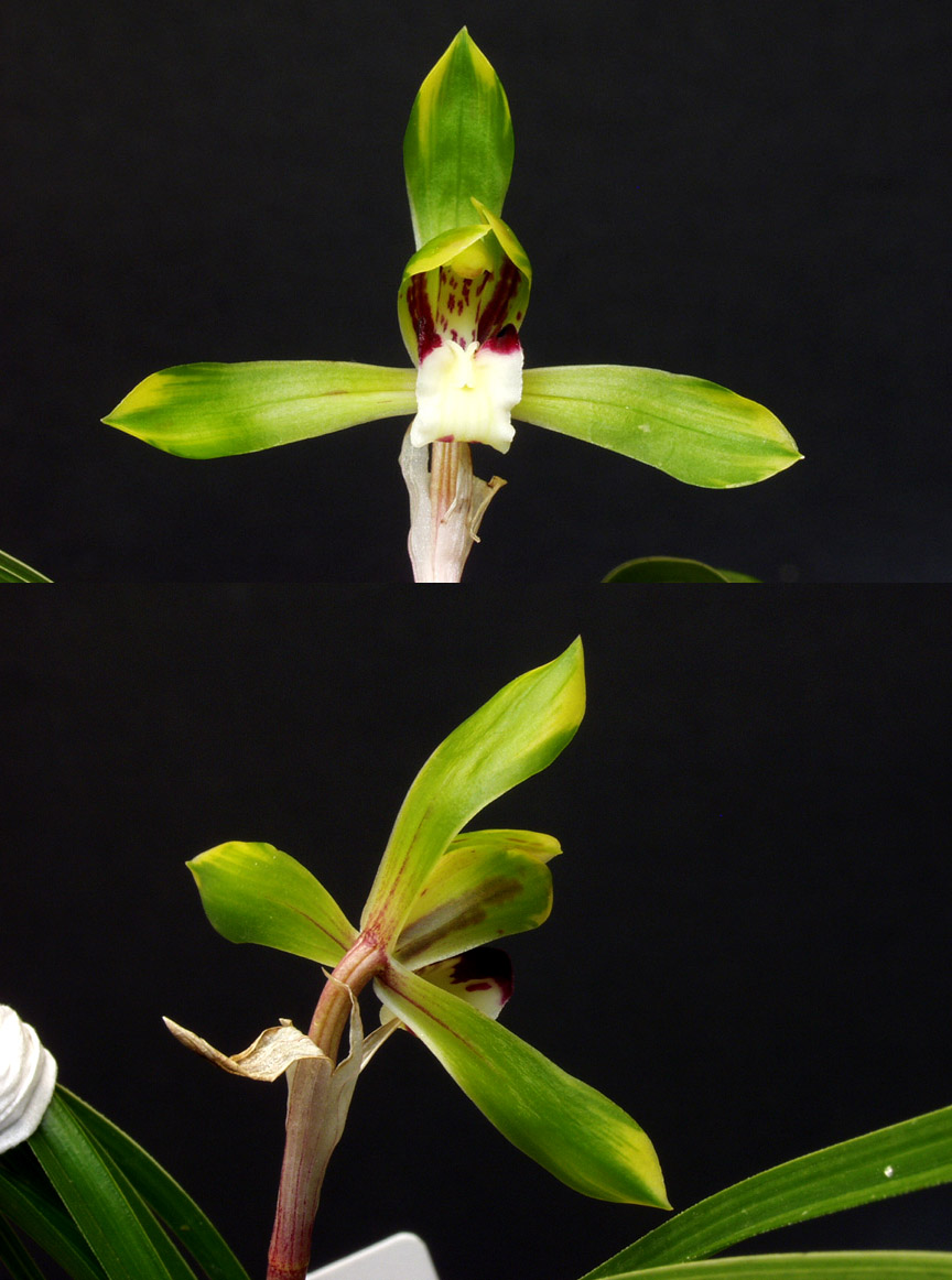 ������ ū������ �� �� �ֽ��ϴ�.