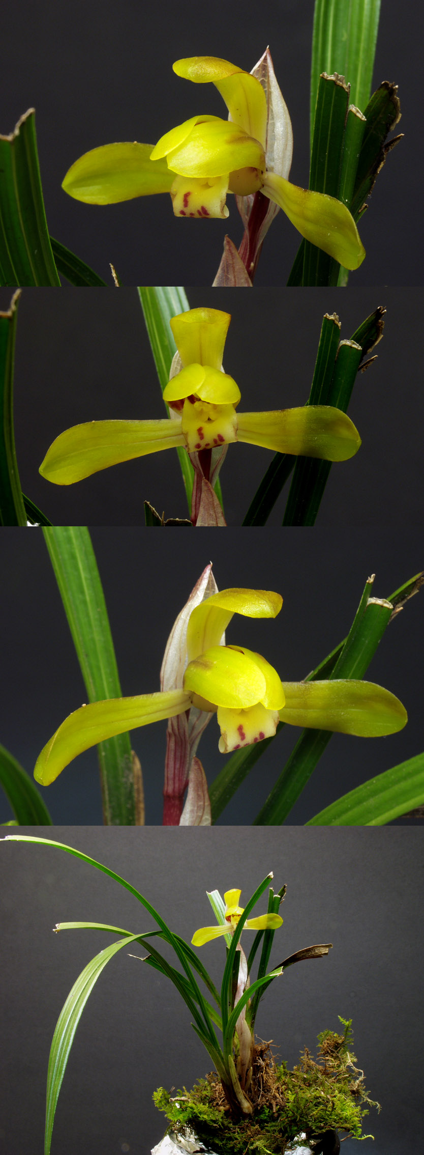 ������ ū������ �� �� �ֽ��ϴ�.