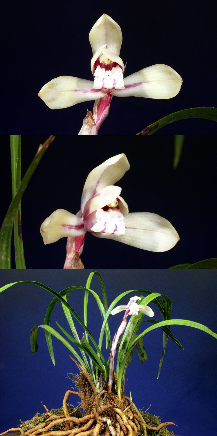 ������ ū������ �� �� �ֽ��ϴ�.