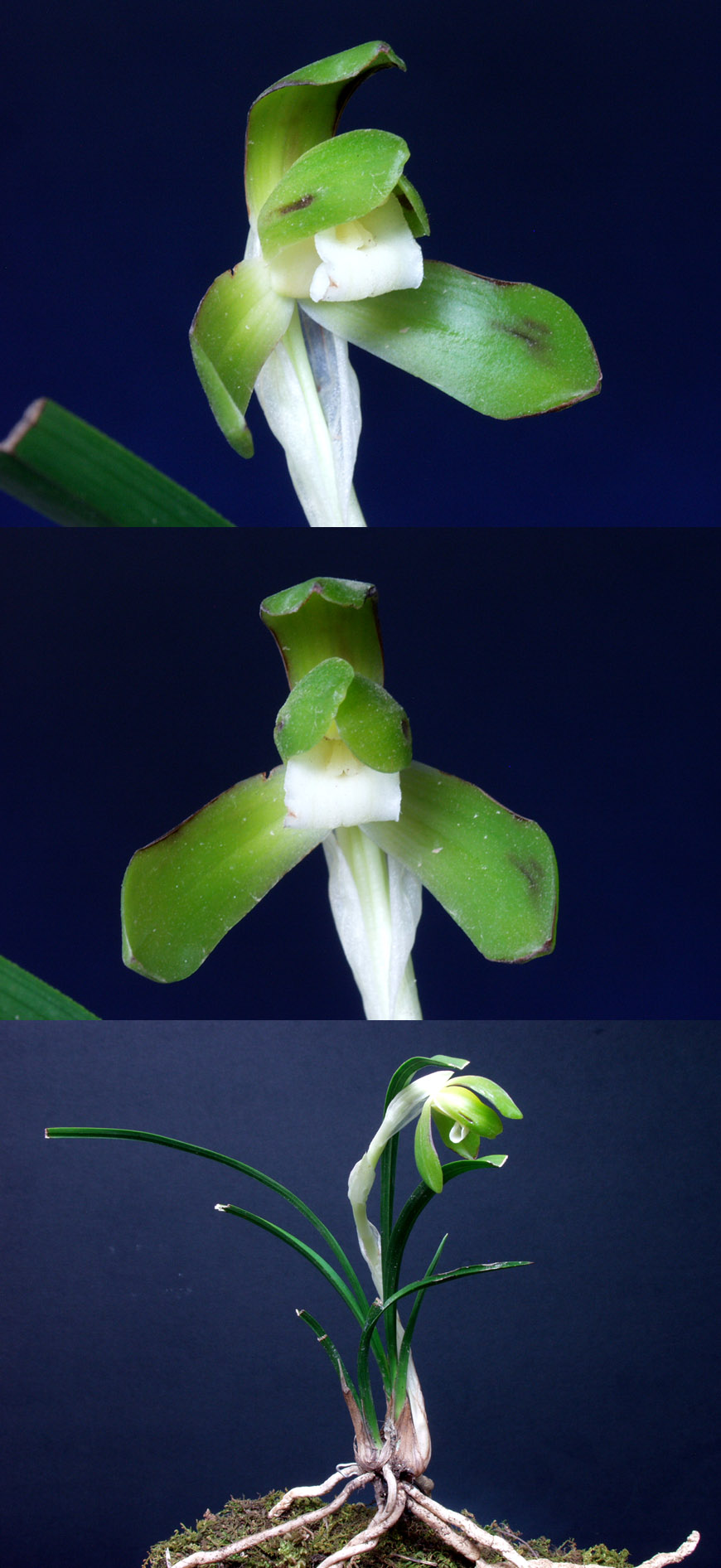 ������ ū������ �� �� �ֽ��ϴ�.